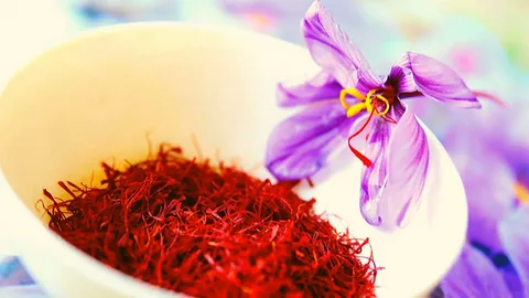 تصویر 4 از زعفران بهرامن نيم گرمي با بسته بندي استاندارد